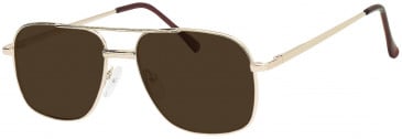 SFE (0112) Prescription Sunglasses