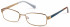 Radley RDO-POPPY glasses in Matt Gold