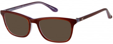 O'Neill ONO-SIERRA Sunglasses in Gloss Brown Horn/Purple