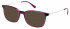 Radley RDO-KIRSTIE Sunglasses in Gloss Purple