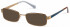 Radley RDO-POPPY Sunglasses in Matt Gold