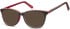 SFE-9792 Sunglasses in Brown/Burgundy