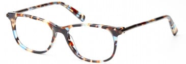 Dune DUN002 glasses in Demi Brown