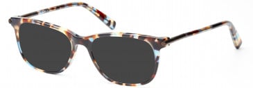 Dune DUN002 Sunglasses in Demi Brown