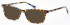 Dune DUN022 Sunglasses in Demi Brown
