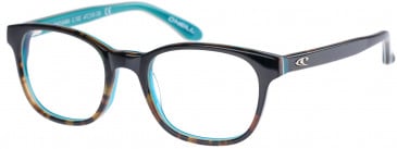 O'Neill ONO-KARA Glasses in Gloss Tortoise