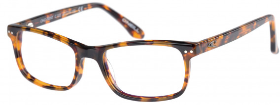O'Neill ONO-TRENT Glasses in Gloss Tortoise