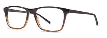 ZENITH 87-50 Glasses in Brown