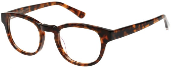 Superdry SDO-JONNY Glasses in Gloss Tortoise