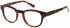 Superdry SDO-JONNY Glasses in Gloss Tortoise