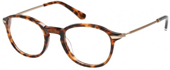 Superdry SDO-FRANKIE Glasses in Gloss Tortoise/Gold