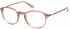 Superdry SDO-FRANKIE Glasses in Gloss Pink