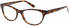 Superdry SDO-ALYSSA Glasses in Gloss Tortoise