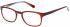 Superdry SDO-JUDSON Glasses in Gloss Burgundy/Blue