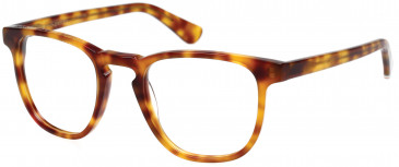 Superdry SDO-CASSIDY Glasses in Gloss Blonde Tortoise