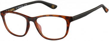 Superdry SDO-HARU Glasses in Matte Tortoise