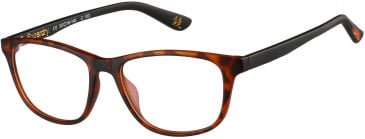 Superdry SDO-HARU Glasses in Matte Tortoise