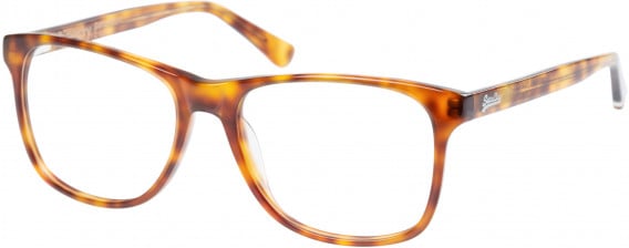 Superdry SDO-PATERSON Glasses in Gloss Tortoise