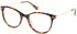 Superdry SDO-SHIKA Glasses in Gloss Tortoise
