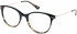 Superdry SDO-SHIKA Glasses in Gloss Black