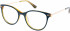 Superdry SDO-SHIKA Glasses in Gloss Teal