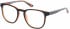 Superdry SDO-UNI Glasses in Matte Black/Amber