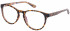 Superdry SDO-KATLYN Glasses in Matte Tortoise