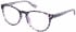 Superdry SDO-KATLYN Glasses in Matte Black