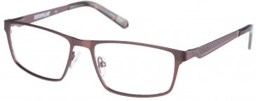 CAT CTO-AWL Glasses in Matte Brown