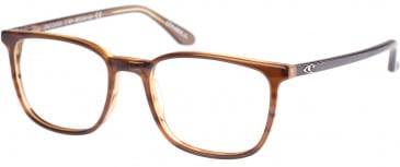 O'Neill ONO-DAHLIA Glasses in Gloss Brown Horn