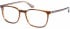 O'Neill ONO-DAHLIA Glasses in Gloss Brown Horn