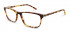 Jasper Conran JCM031 Glasses in Tort