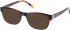 Radley RDO-BREA Sunglasses in Gloss Tortoise