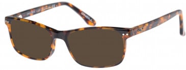 O'Neill ONO-TRENT Sunglasses in Gloss Tortoise