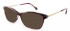 L.K.Bennett LKB004 Sunglasses in Purple
