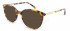 L.K.Bennett LKB011 Sunglasses in Tort