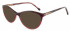 L.K.Bennett LKB013 Sunglasses in Red Stripe