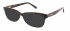 L.K.Bennett LKB016 Sunglasses in Black Tort