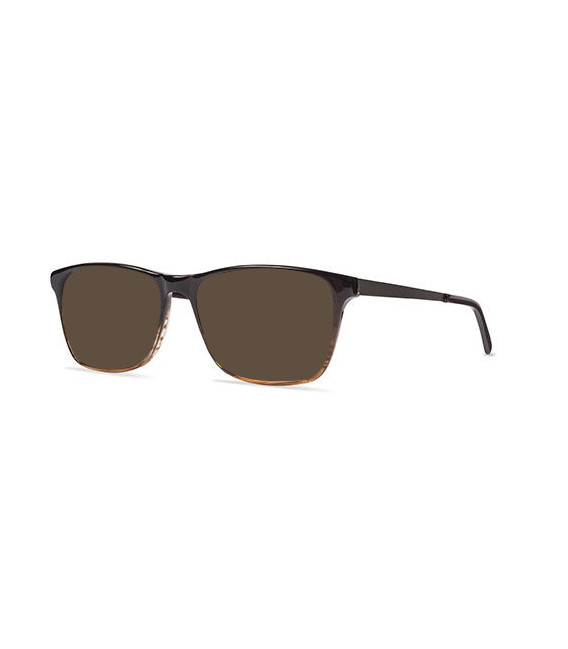 ZENITH 87-50 Sunglasses in Brown