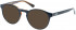 Superdry SDO-GORO Sunglasses in Gloss Navy