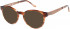 O'Neill ONO-DAIZE Sunglasses in Gloss Marmalade Horn