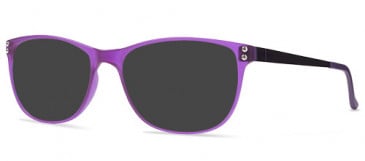 ZENITH 81-50 Sunglasses in Purple