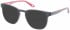 Superdry SDO-UNI Sunglasses in Matte Grey/Burgundy