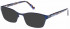 Radley RDO-ROSAMUND Sunglasses in Matte Blue