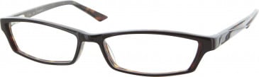 Jai Kudo Oxford Circus Glasses in Brown