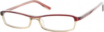 Jai Kudo EA1688 Glasses in Burgundy/Clear Brown