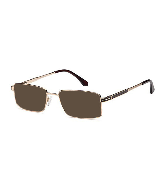 SFE-9962 CD7117 sunglasses in Gold