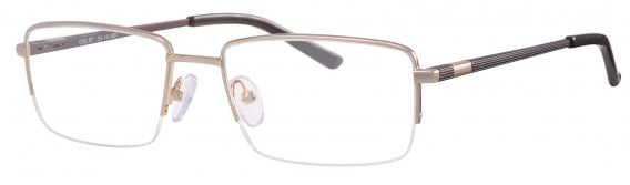 Ferucci 2004 Glasses in Gold