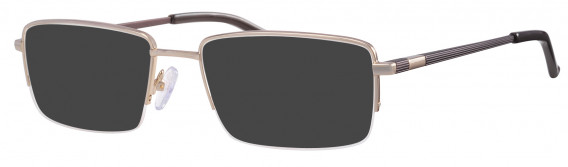 Ferucci 2004 Sunglasses in Gold