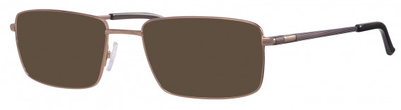 Ferucci 2006 Sunglasses in Bronze